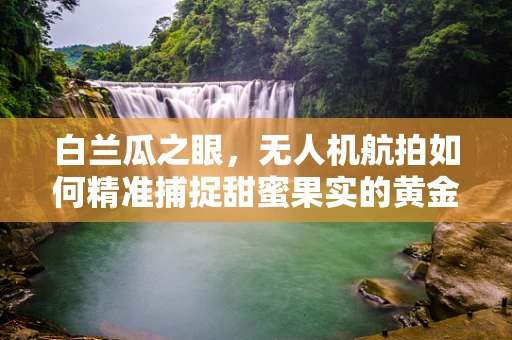 白兰瓜之眼，无人机航拍如何精准捕捉甜蜜果实的黄金时刻？