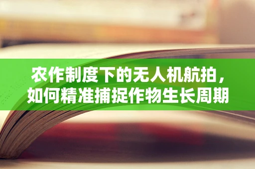 农作制度下的无人机航拍，如何精准捕捉作物生长周期的细微变化？