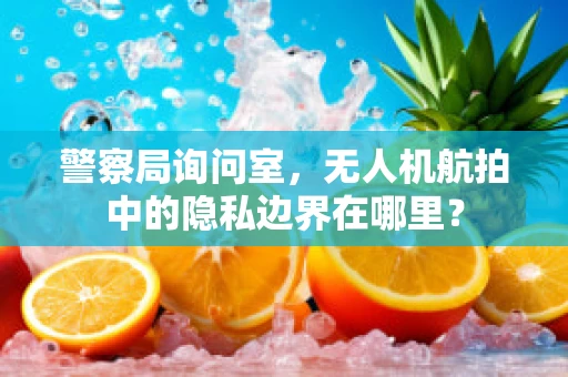 警察局询问室，无人机航拍中的隐私边界在哪里？