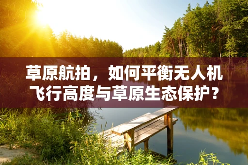草原航拍，如何平衡无人机飞行高度与草原生态保护？