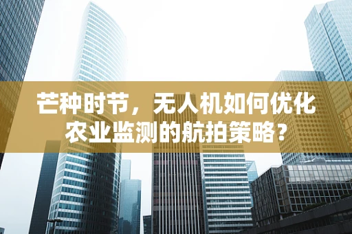 芒种时节，无人机如何优化农业监测的航拍策略？