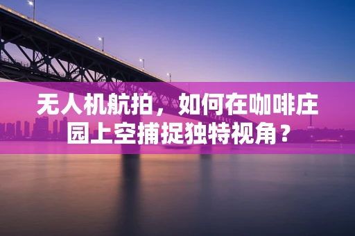 无人机航拍，如何在咖啡庄园上空捕捉独特视角？