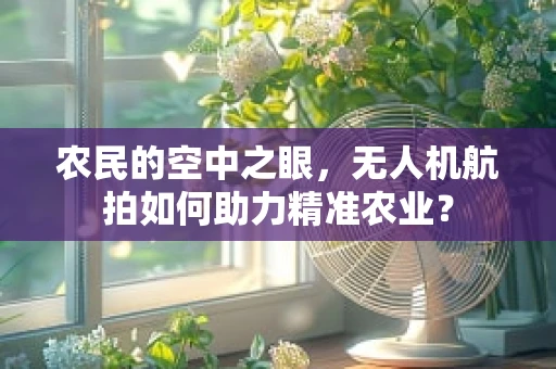 农民的空中之眼，无人机航拍如何助力精准农业？