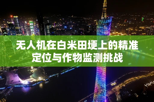 无人机在白米田埂上的精准定位与作物监测挑战