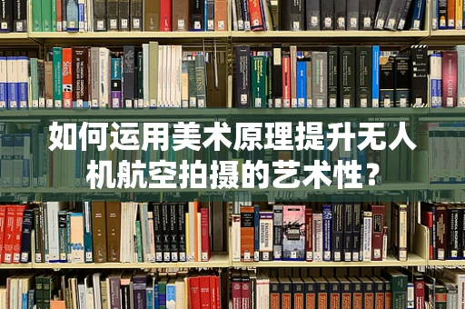 如何运用美术原理提升无人机航空拍摄的艺术性？