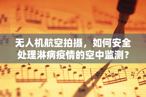 无人机航空拍摄，如何安全处理淋病疫情的空中监测？