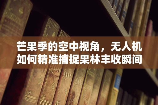 芒果季的空中视角，无人机如何精准捕捉果林丰收瞬间？