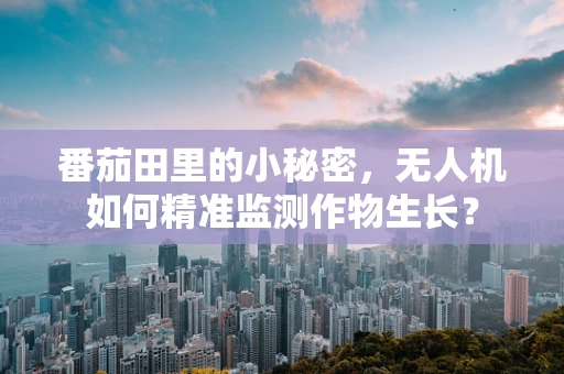 番茄田里的小秘密，无人机如何精准监测作物生长？