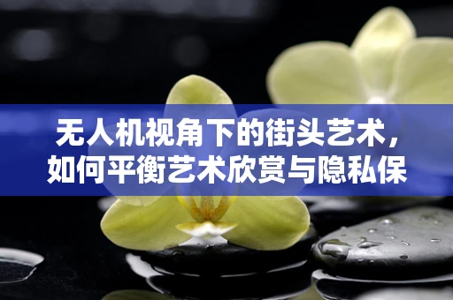 无人机视角下的街头艺术，如何平衡艺术欣赏与隐私保护？