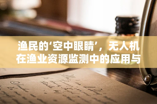 渔民的‘空中眼睛’，无人机在渔业资源监测中的应用与挑战？