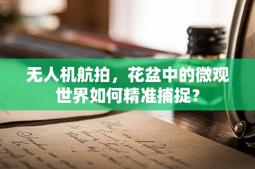 无人机航拍，花盆中的微观世界如何精准捕捉？