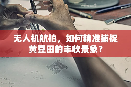 无人机航拍，如何精准捕捉黄豆田的丰收景象？