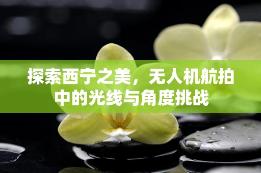 探索西宁之美，无人机航拍中的光线与角度挑战
