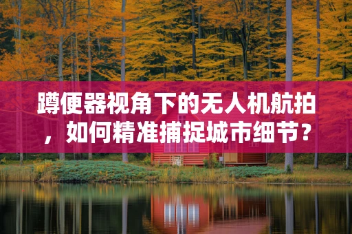 蹲便器视角下的无人机航拍，如何精准捕捉城市细节？
