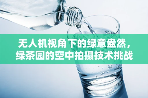 无人机视角下的绿意盎然，绿茶园的空中拍摄技术挑战与美学探索