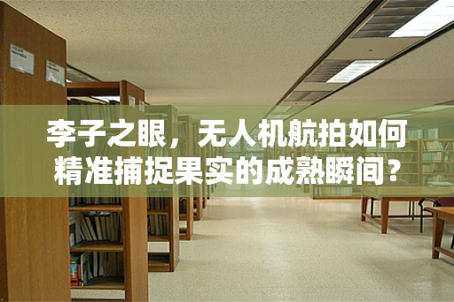 李子之眼，无人机航拍如何精准捕捉果实的成熟瞬间？