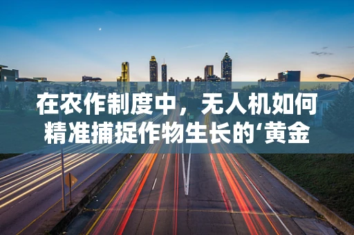 在农作制度中，无人机如何精准捕捉作物生长的‘黄金时刻’？