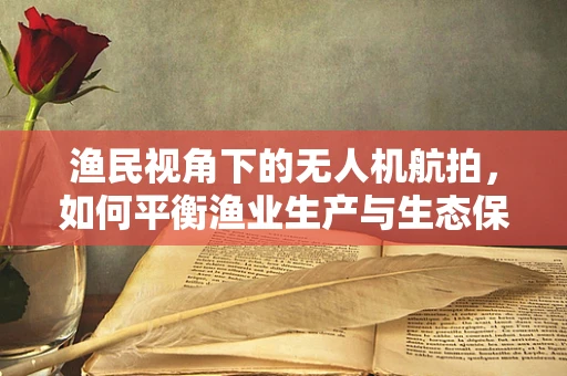 渔民视角下的无人机航拍，如何平衡渔业生产与生态保护？