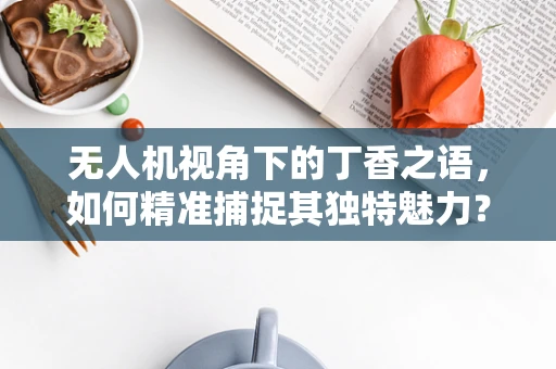 无人机视角下的丁香之语，如何精准捕捉其独特魅力？