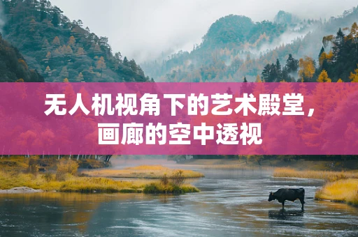 无人机视角下的艺术殿堂，画廊的空中透视