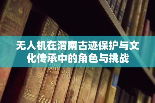 无人机在渭南古迹保护与文化传承中的角色与挑战