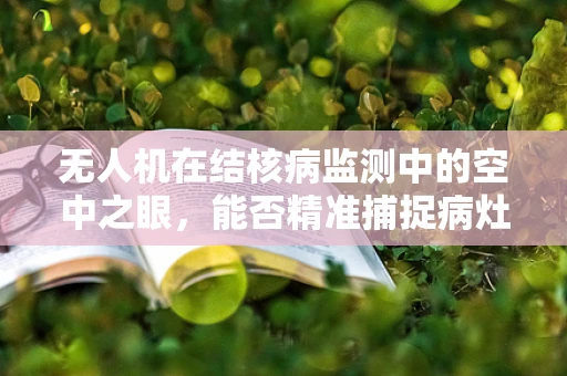 无人机在结核病监测中的空中之眼，能否精准捕捉病灶？