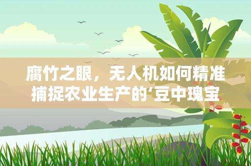 腐竹之眼，无人机如何精准捕捉农业生产的‘豆中瑰宝’？