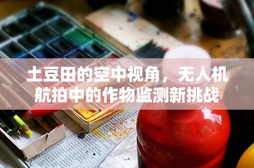 土豆田的空中视角，无人机航拍中的作物监测新挑战
