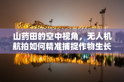 山药田的空中视角，无人机航拍如何精准捕捉作物生长细节？