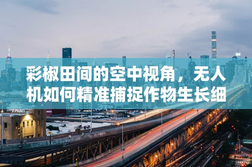 彩椒田间的空中视角，无人机如何精准捕捉作物生长细节？