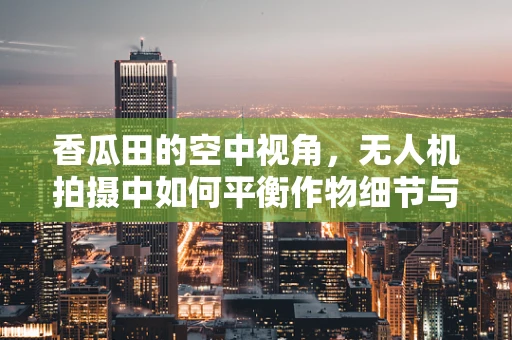 香瓜田的空中视角，无人机拍摄中如何平衡作物细节与隐私保护？