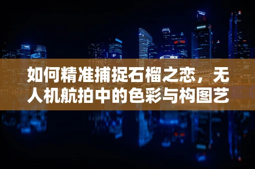 如何精准捕捉石榴之恋，无人机航拍中的色彩与构图艺术？