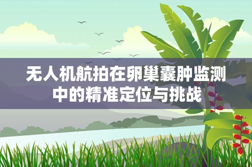 无人机航拍在卵巢囊肿监测中的精准定位与挑战