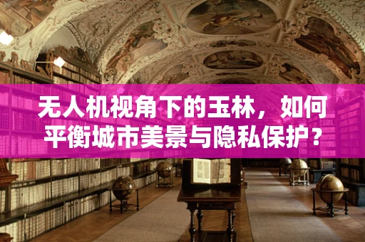无人机视角下的玉林，如何平衡城市美景与隐私保护？