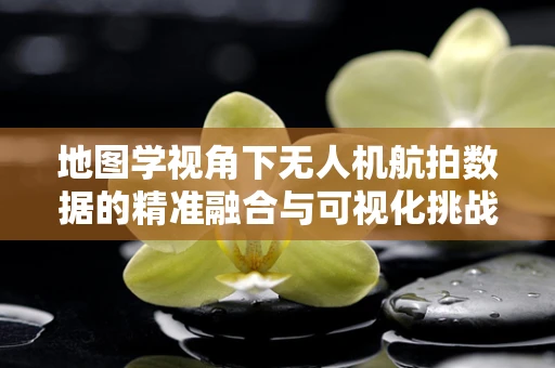 地图学视角下无人机航拍数据的精准融合与可视化挑战
