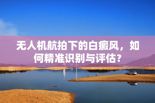 无人机航拍下的白癜风，如何精准识别与评估？