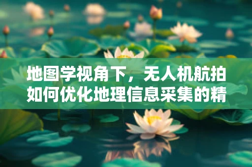 地图学视角下，无人机航拍如何优化地理信息采集的精度与效率？