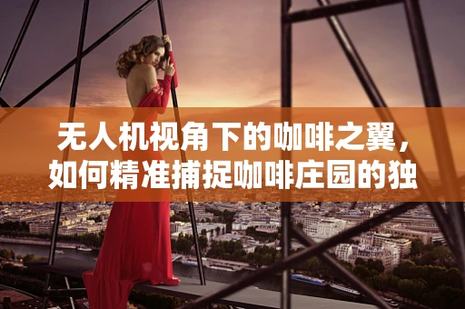 无人机视角下的咖啡之翼，如何精准捕捉咖啡庄园的独特魅力？