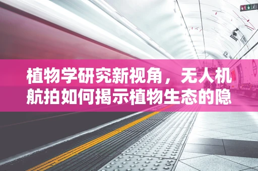 植物学研究新视角，无人机航拍如何揭示植物生态的隐秘细节？
