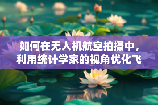 如何在无人机航空拍摄中，利用统计学家的视角优化飞行路径？