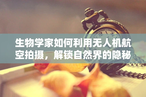 生物学家如何利用无人机航空拍摄，解锁自然界的隐秘视角？