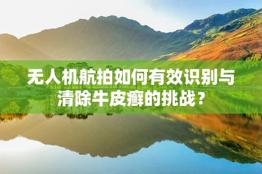 无人机航拍如何有效识别与清除牛皮癣的挑战？