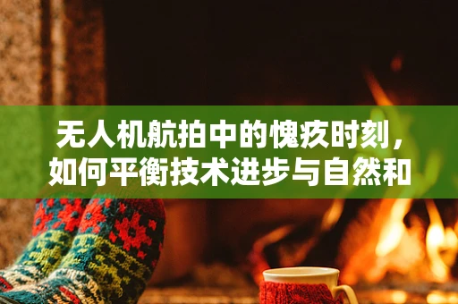 无人机航拍中的愧疚时刻，如何平衡技术进步与自然和谐？