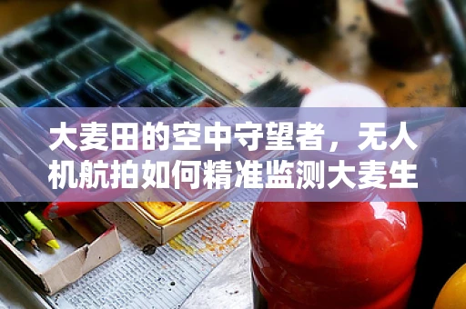 大麦田的空中守望者，无人机航拍如何精准监测大麦生长状况？