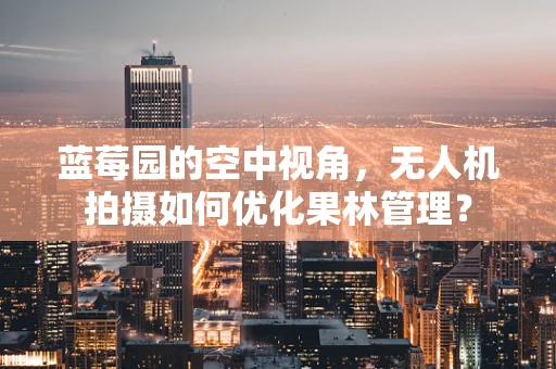 蓝莓园的空中视角，无人机拍摄如何优化果林管理？