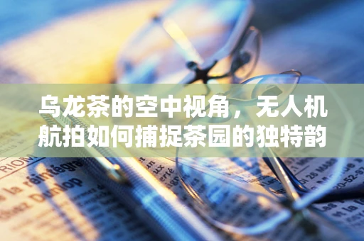 乌龙茶的空中视角，无人机航拍如何捕捉茶园的独特韵味？