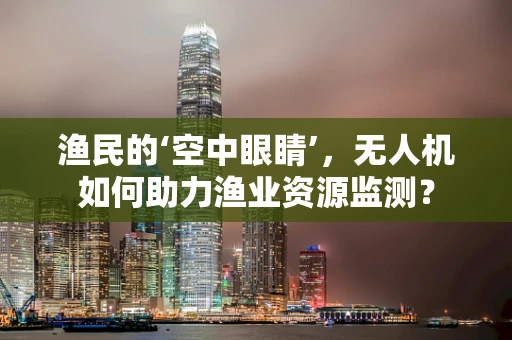 渔民的‘空中眼睛’，无人机如何助力渔业资源监测？