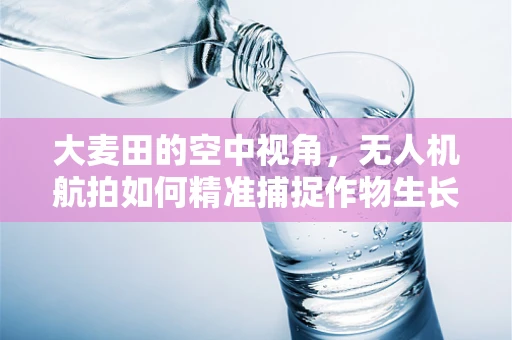 大麦田的空中视角，无人机航拍如何精准捕捉作物生长细节？