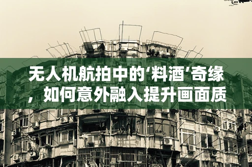 无人机航拍中的‘料酒’奇缘，如何意外融入提升画面质感？