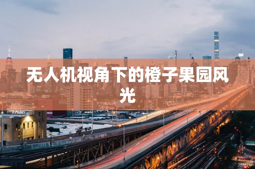 无人机视角下的橙子果园风光